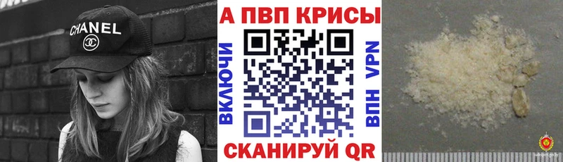 блэк спрут ССЫЛКА  Борзя  Alfa_PVP крисы CK 