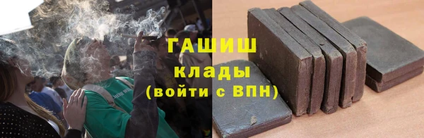 прущие грибы Алзамай