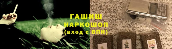 прущие грибы Алзамай