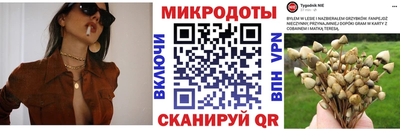 hydra онион  Борзя  Галлюциногенные грибы ЛСД 